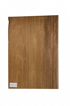 Body Mahagoni Swietenia, 1-tlg., Einzelstück #052